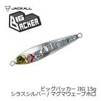 ビッグバッカー ジグ 15g イワシ / マグマウェーブホロ