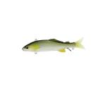釣り仕掛け