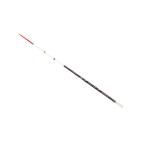  Daiwa Chris tia корюшка LTD AGS скорость .310SSS