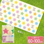 遠足マット パステルスター １人用サイズ（60×100cm） P-3439 ｜ レジャーシート 敷物 遠足 1人用 運動会 ピクニック 小学校