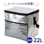 ショッピングペットボトルクーラー ソフトクーラーバッグ アルミ 22L ｜ 保冷バッグ 保冷剤ポケット付き 折りたたみ 2Lペットボトル×6本 レジャー 運動会 ピクニック 大容量