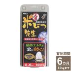 米びつ先生 元祖 6ヶ月