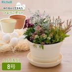 リッチェル植木鉢ひよっこポット8号...