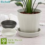  Ricci .ru. тарелка lapis plate 30 type цвет также можно выбрать l тарелка поддонник круг plate горшок класть посадочная машина plate модный садоводство горшок садоводство 