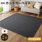 ショッピングホットカーペット ホットカーペット 2畳 本体 175x175cm 電気カーペット カーペット 2帖 送料無料