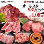 焼き肉 バーベキューセット 2-3人前 1.08kg 特撰オールスターBBQセット（ハラミ、厚切り牛タンなど）送料無料 BBQ 焼肉セット