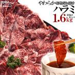 ショッピング焼肉 ハラミ 焼肉 肉 牛肉 焼き肉 焼肉セット バーベキュー BBQ やわらか 牛ハラミ 味噌だれ漬け 超メガ盛セット 1.6kg バーベキューセット 食品