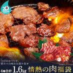 計1.6kg 情熱の肉福袋 2025 情熱ホルモン 20周年記念 国産牛カルビ 黒毛和牛ホルモン ハラミ 訳あり牛タン 情ホル 北海道沖縄配送別途送料追加