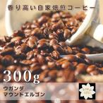 スペシャルティコーヒー ウガンダ カプチョルワ マウントエルゴン ナチュラル 中煎り 焙煎当日発送 300g YHR-COFFEE フルーティー 珈琲豆