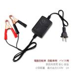  free shipping small size light weight battery charger automobile bike all-purpose 12V1A clip type ( lead . battery for )