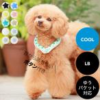 SALE30%OFF 2023 SUO 28°ICE COOL RING クールリングボタン付き 全10色 LBサイズ ゆうパケット対応