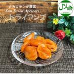 あんず アンズ ババイ種 タジキスタン産 100g バイオシード ポスト投函便対象