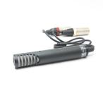 { прекрасный товар }SONY стерео Mike ECM-MS2