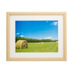 { новый товар аксессуары } FUJICOLOR ( Fuji цвет ) из дерева рама YM-3 дерево земля акрил цифровой A4