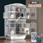 клетка для птиц bird клетка большой клетка птица маленький магазин большой несколько ..se регулирование длиннохвостый попугай o черепаха длиннохвостый попугай попугай документ птица маленькая птица поилка есть 