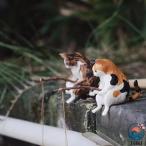  рыбалка кошка украшение миниатюра аквариум аквариум орнамент симпатичный орнамент кошка .. орнамент фигурка интерьер смешанные товары рыбалка игрушка кошка 
