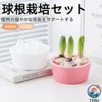  гидропонная культура pot три . проект гиацинт луковица вода культивирование комплект 3 дыра гиацинт посадочная машина специальный гидропонная культура посадочная машина . цветок луковица для a горшок декоративное растение горшок соответствует тюльпан hiya