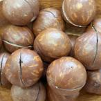  - -s. имеется мясо для жаркого to macadamia орехи ( Bulk )10kg большая вместимость производитель прямая поставка 