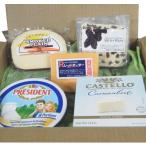 ショッピングチーズ 世界のチーズ詰め合わせ 5種 ギフト 贈物 お中元 メーカー直送