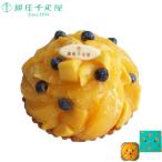  Гиндза тысяч . магазин Гиндза фруктовый пирог манго оранжевый диаметр 15cm подарок внутри праздник праздник рождение брак день рождения .... подарок прямая поставка от производителя 