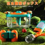  клетка для насекомых насекомое кейс садок для разведения 12 позиций комплект свободный изучение разведение наблюдение насекомое брать . пинцет увеличительное стекло насекомое рыба наблюдение насекомое наблюдение кейс насекомое клетка насекомое разведение коробка . только . насекомое .