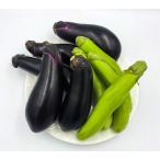 [ прохладный рейс ]fwa.. новый еда чувство! утро ..![.. баклажан ] и название. бренд баклажан | жарение nas. чтобы сделать разработка осуществлен товар вид 