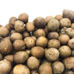 [ осенний .]. корзина примерно 600g( горный ямс. младенец ) Niigata рыба болото гора. . ho k ho k еда чувство 