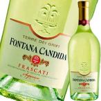 (白ワイン)フォンタナ・カンディダ・テッレ・デ・グリーフィー・フラスカーティ・スペリオーレ・セッコ 2019 wine