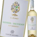 （白ワイン）サン・マルツァーノ・イル・プーモ・マルヴァジーア・ソーヴィニヨン 2025 wine