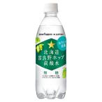 北海道富良野ホップ炭酸水 [PET] 500ml x 24本[ケース販売][ポッカサッポロ 日本 飲料 炭酸水 WS89]