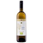 ワイン 白ワイン wine チェヴィコ コッリ ロマニョーリ トレッビアーノ 750ml イタリア 白ワイン 006939 モンテ