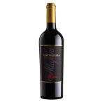 ワイン 赤ワイン アッレグリーニ ヴァルポリチェッラ スーペリオーレ 750ml wine エノテカ