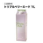 三田飲料 トリプルベリーエード 紙パック 1L 1000ml 三田飲料