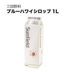 三田飲料 ブルーハワイシロップ パック 1L 1000ml 三田飲料