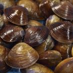 [. после река производство * крупный ...] *1Kg( самый длинный ширина 25mm передний и задний (до и после) ). тест ... стандартный пищевые ингредиенты специальный продукт достопримечательность товар 