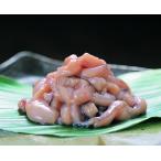 いかの塩辛 びん入（１４０ｇ）　木屋　呼子 朝市 佐賀