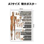  раунд Flat все тело. ...A1 размер очень большой постер 