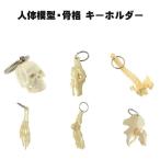  тело человека модель *.. брелок для ключа раунд Flat 