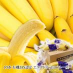 バナナ ナチュラルヒーロー 10本 1箱 有機JAS認定 エクアドル産又はペルー産