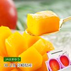 マンゴー 宮崎県産 完熟宮崎マンゴー 3Lサイズ (450g以上)×2玉