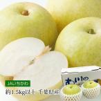 梨 香梨 千葉県産 約1.5kg以上 2玉