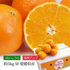 みかん 愛媛県産 紅まどんな 青秀アップ 約5kg Mサイズ 24〜30玉