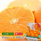 みかん 紅まどんな 愛媛県産 優アップ 約3kg L〜4Lサイズ 8〜15玉