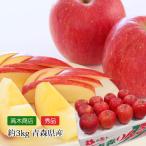 りんご 青森県産 ふじ 秀品 約3kg 9〜12玉