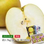 梨 埼玉県産 常光の幸水 秀品 2L〜3Lサイズ 約1.7kg 5〜6玉