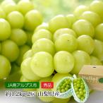 ぶどう 山梨県産 シャインマスカット 秀品 約1.2kg 2房 露地栽培