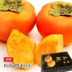  хурма futoshi осень хурма Kumamoto префектура производство красный превосходящий примерно 2kg 4~6 шар 