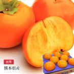  хурма futoshi осень хурма Kumamoto префектура производство красный превосходящий 8~12 шар 
