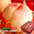 桃 山梨県産 一宮 匠の桃 特秀品 約1.5kg 5〜6玉