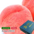 ショッピング桃 桃 山梨県産 一宮 匠の桃 特秀品 約2kg 5〜8玉